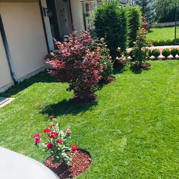 Bitkilendirme Gölbaşı Peyzaj , İncek Peyzaj ve Ümitköy Peyzaj