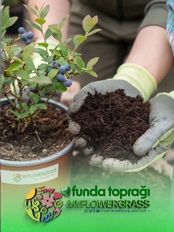 funda toprağı , göbaşı funda toprağı , funda toprağı satışı