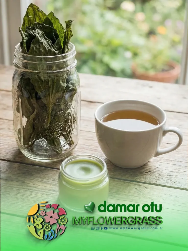 damar otu , sinir otu , gölbaşı , damar otu fidesi , sinir otu fidesi , myflowergrass